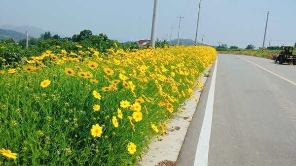 북이면 궁동마을 길 이미지 1