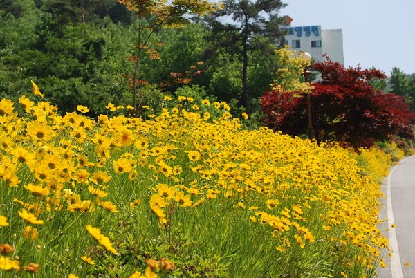 병원에도 옐로우시티는 함께합니다.. 이미지 1