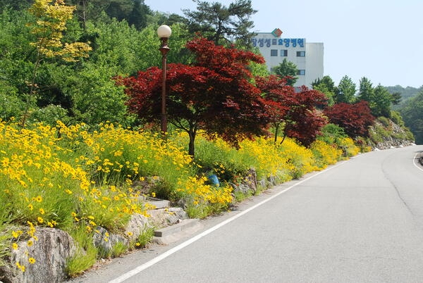 병원에도 옐로우시티는 함께합니다.. 이미지 2