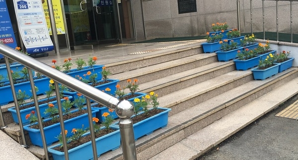 남면사무소 화분 가득히 예쁜 꽃으로 단장했어요 휘리릭~ 이미지 3