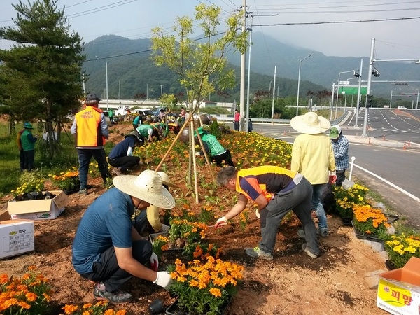 옐로우시티는 거버넌스로 이미지 2