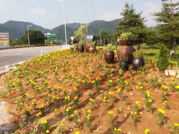옐로우시티는 거버넌스로 이미지 4