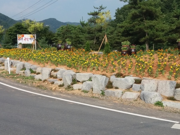 옐로우시티는 거버넌스로 이미지 5