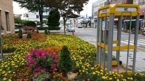 영국 런던의 명물, 빨간색 공중전화 박스! 장성읍에는 Yellow 공중전화박스?!! 이미지 1