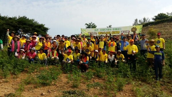 사회단체와 함께하는 향기나는 옐로우시티 동화면 가꾸기 행사 ★ 이미지 1