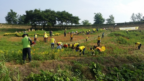 동화면 옐로우시티 가꾸기  이미지 1