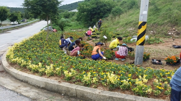 동화면 한농연 한여농 회원님들의 담당구간 꽃화단 가꾸기 ~ 이미지 1