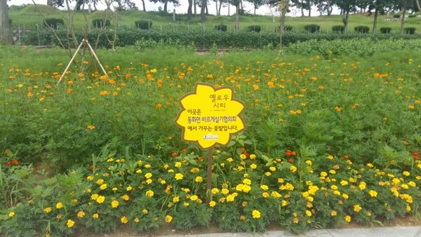 이곳은 동화면 바르게살기협의회가 가꾸는 꽃밭입니다 ♡♥ 이미지 1