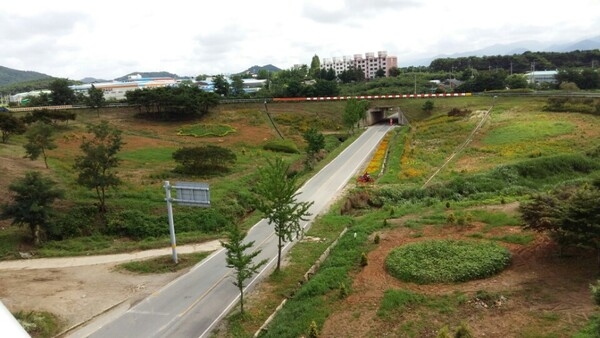 동화면이 자랑하는 꽃❀동산  ~ 이미지 2