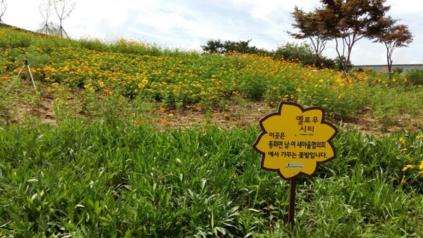 이곳은 동화면새마을협의회에서 가꾸는 꽃밭입니다 ♡♥ 이미지 2