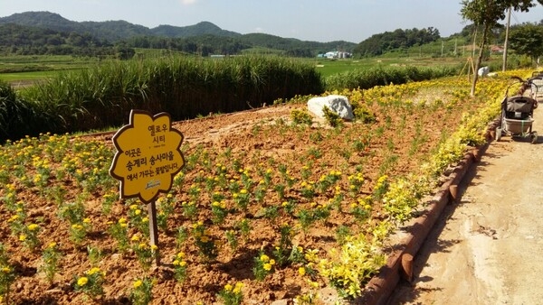 송계리 송사마을 화단 조성  이미지 3