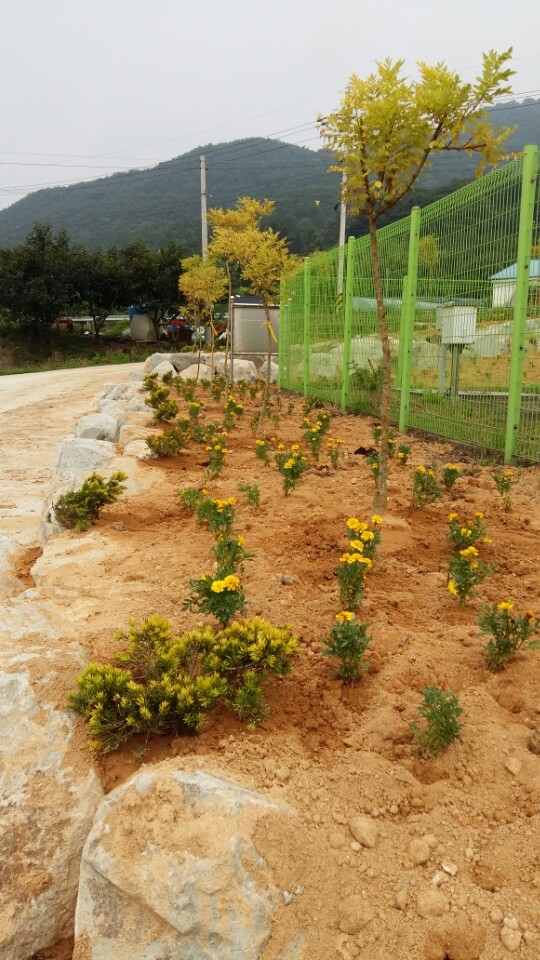 구산마을 꽃동산 조성  이미지 3