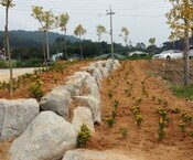 구산마을 꽃동산 조성 