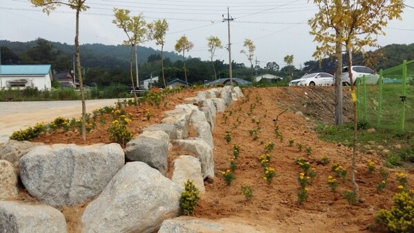 구산마을 꽃동산 조성  이미지 1