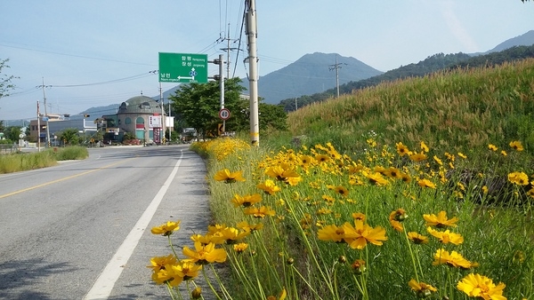 진원면 궁구제~ RPC가는 길목 이미지 2