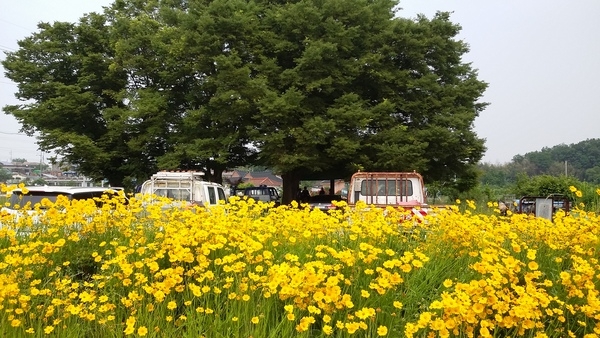 진원면 산동마을 모정 주변 이미지 2