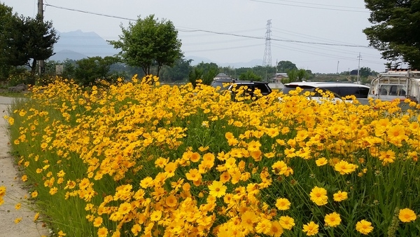 진원면 산동마을 모정 주변 이미지 1