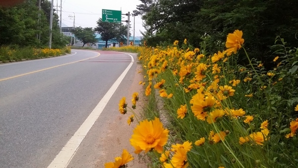 국도24호 도로변 이미지 1