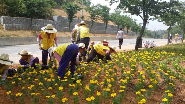 품격높은 새로운 소공원 탄생(진원면 가막골) 이미지 2