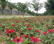 운전자들에게 기쁨주는 소공...