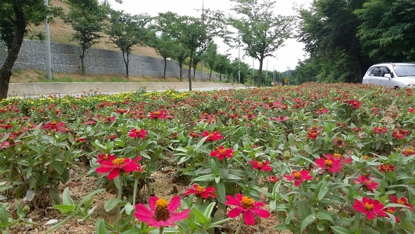 운전자들에게 기쁨주는 소공원 (진원면 학림리 가막골) 이미지 1