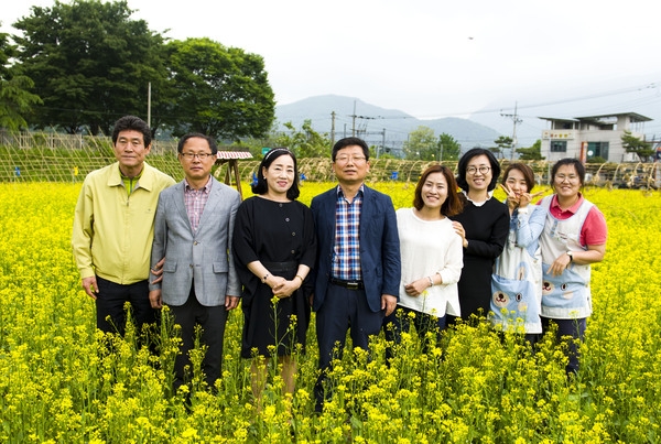 봄에는 유채  여름은 해바라기 이미지 2