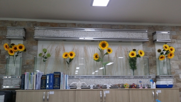 면사무소에 노오란 해바라기가 피었(?)습니다.  이미지 1