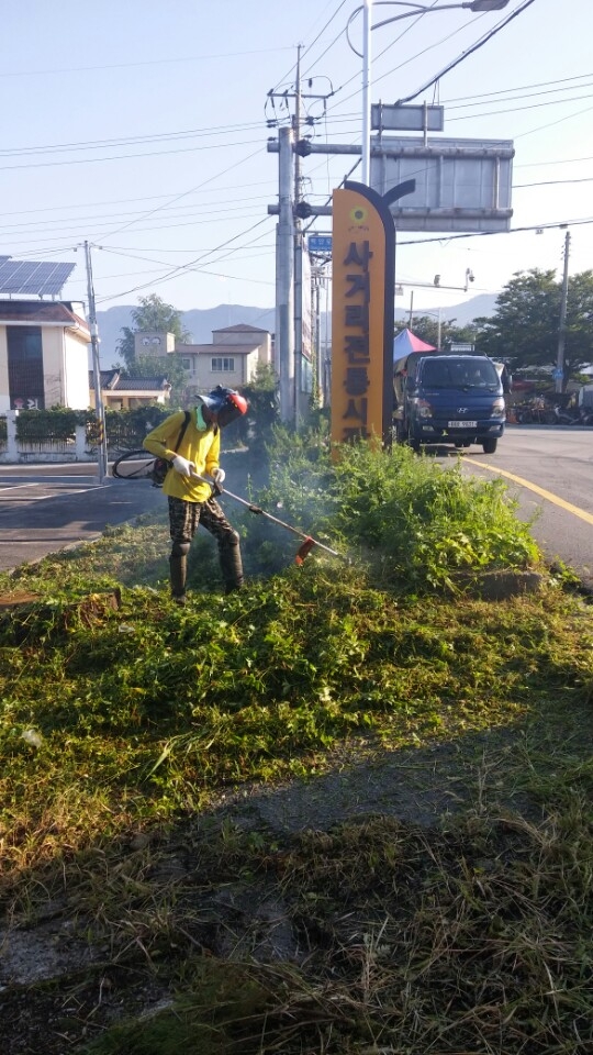 사가 전통시장 굿바이 해바라기 이미지 2