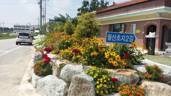 앞에서 봐도 이쁘고 ~ 옆에서 봐도 이쁘고 ~ 이미지 1