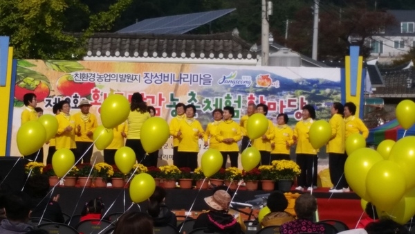 제8회 황토단감 농촌체험 한마당 축제 옐로우 물결 이미지 2