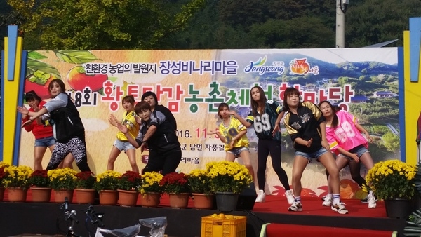 제8회 황토단감 농촌체험 한마당 축제 옐로우 물결 이미지 4