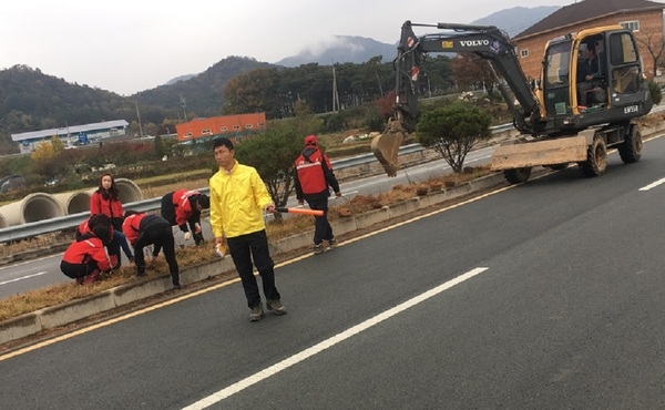 2017년도 덕성행복마을 진입로 옐로우시티 국화꽃길 조성 이미지 1