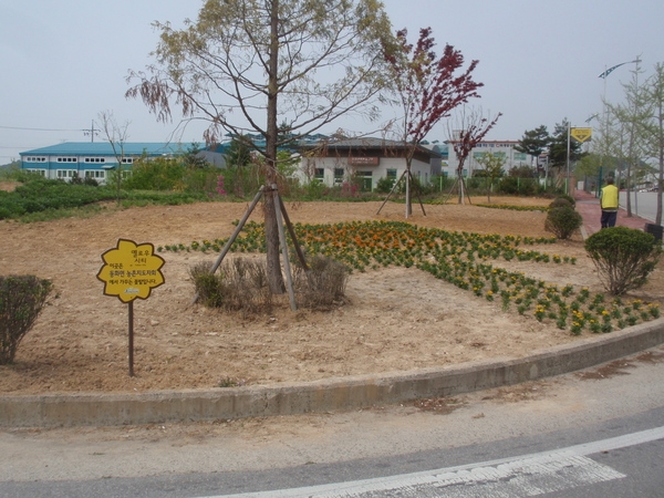 동화면의 해바라기 모양  꽃동산 ~ 이미지 2