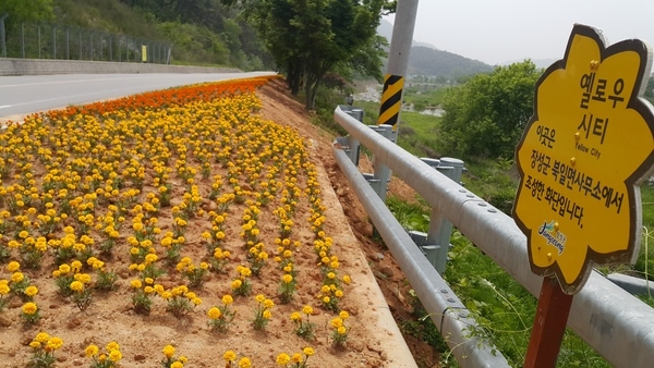 북일 옐로우동산^^ 이미지 1