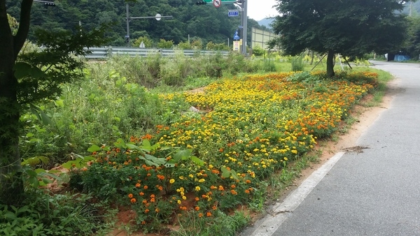 명치마을 활짝핀 거버넌스 이미지 2