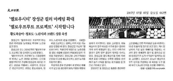 '옐로우시티' 장성군 컬러마케팅 확대 이미지 1