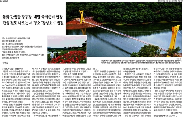 봄꽃 만발한 황룡강 이미지 1