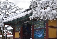 설경