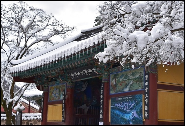 설경
