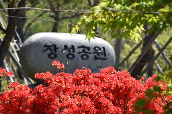 공원나들이