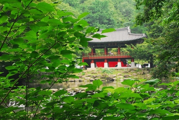 백양사 신록