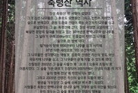 축령산에서