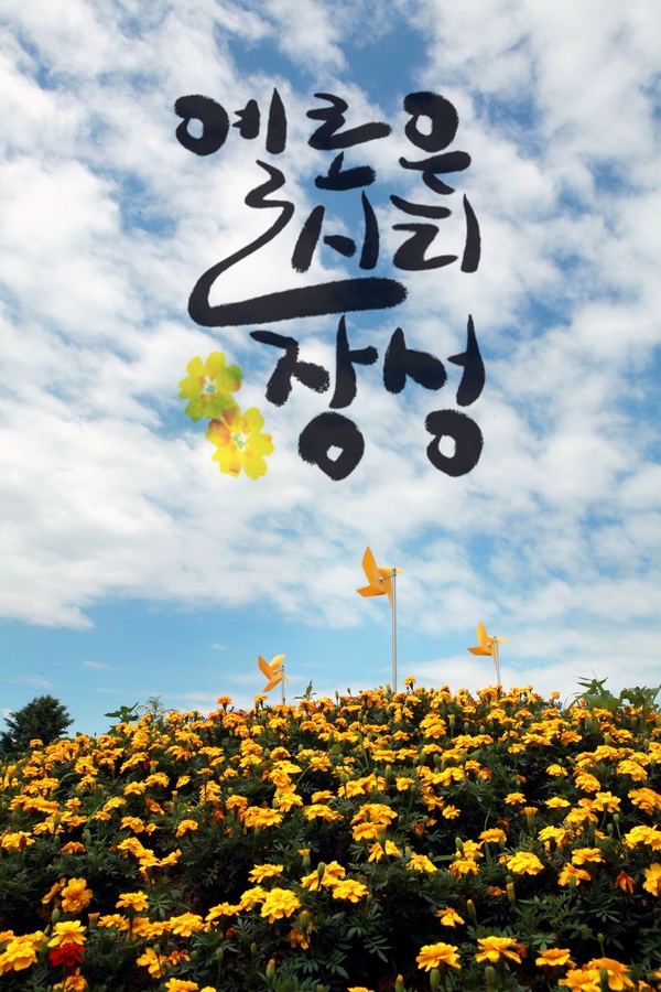 옐로우시티 장성 ♥