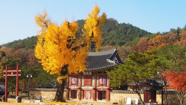 확연루의 만추