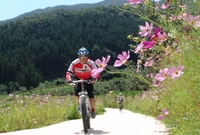 축령산 산소축제&40;금곡...