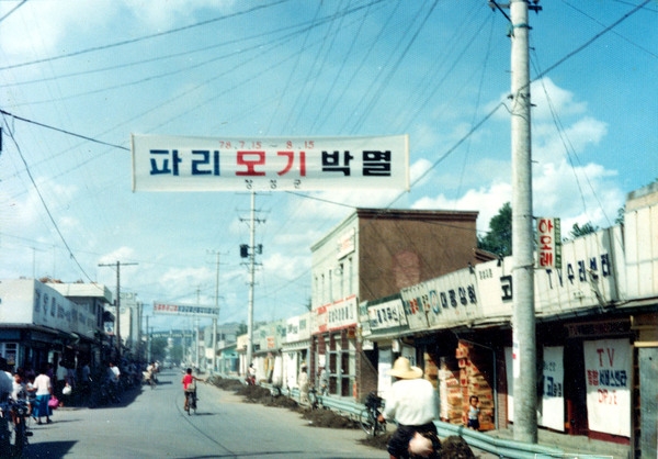 장성읍 시가지(버스터미널)
