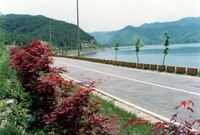 장성호 국도