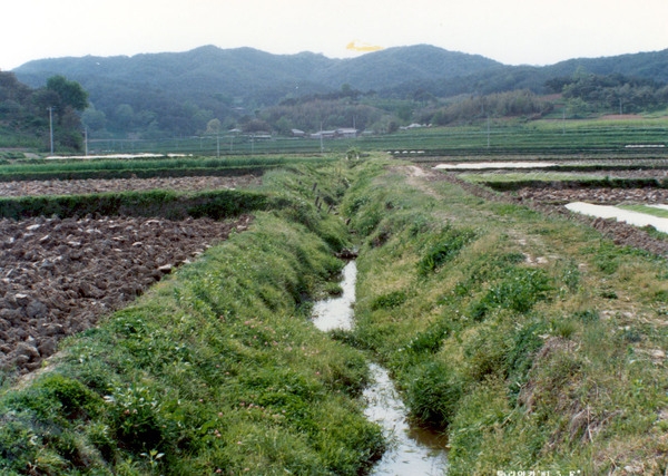 농수로