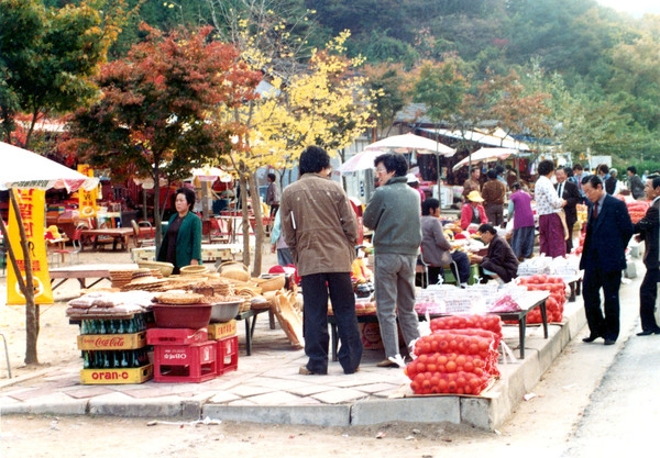 백양사입구풍경