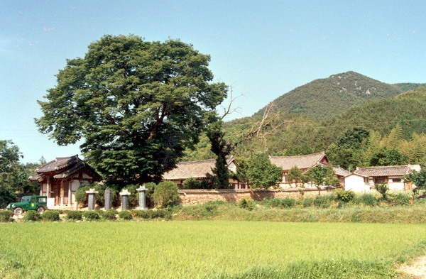 장성향교